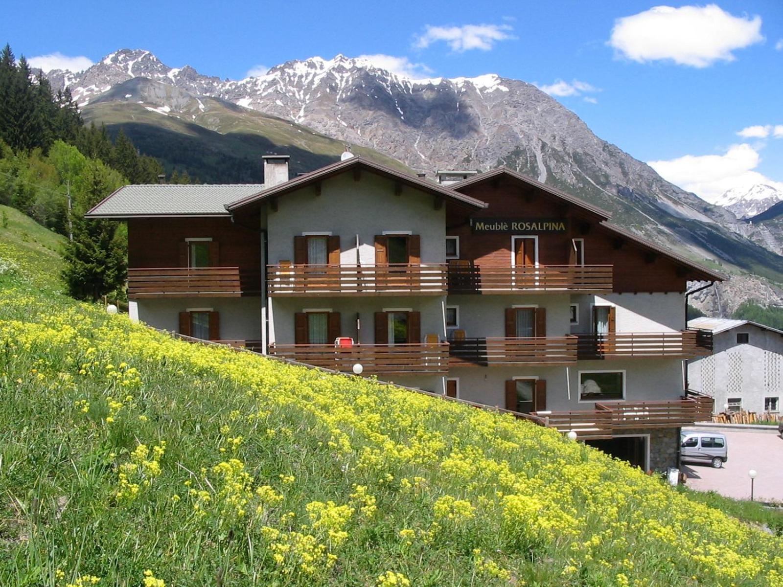 Hotel Meuble Rosalpina Isolaccia Exterior foto